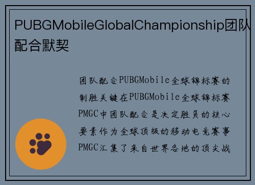 PUBGMobileGlobalChampionship团队配合默契