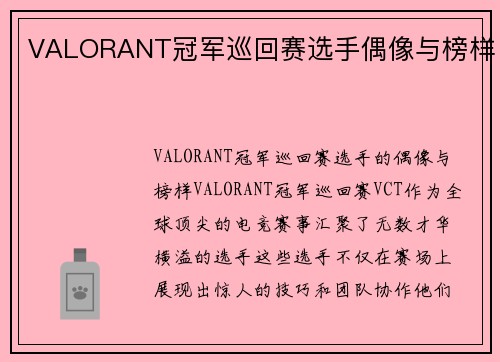 VALORANT冠军巡回赛选手偶像与榜样