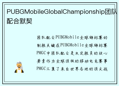 PUBGMobileGlobalChampionship团队配合默契