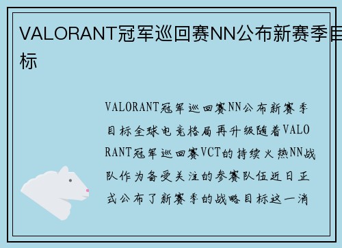 VALORANT冠军巡回赛NN公布新赛季目标